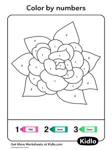 flowers color by numbers algebra